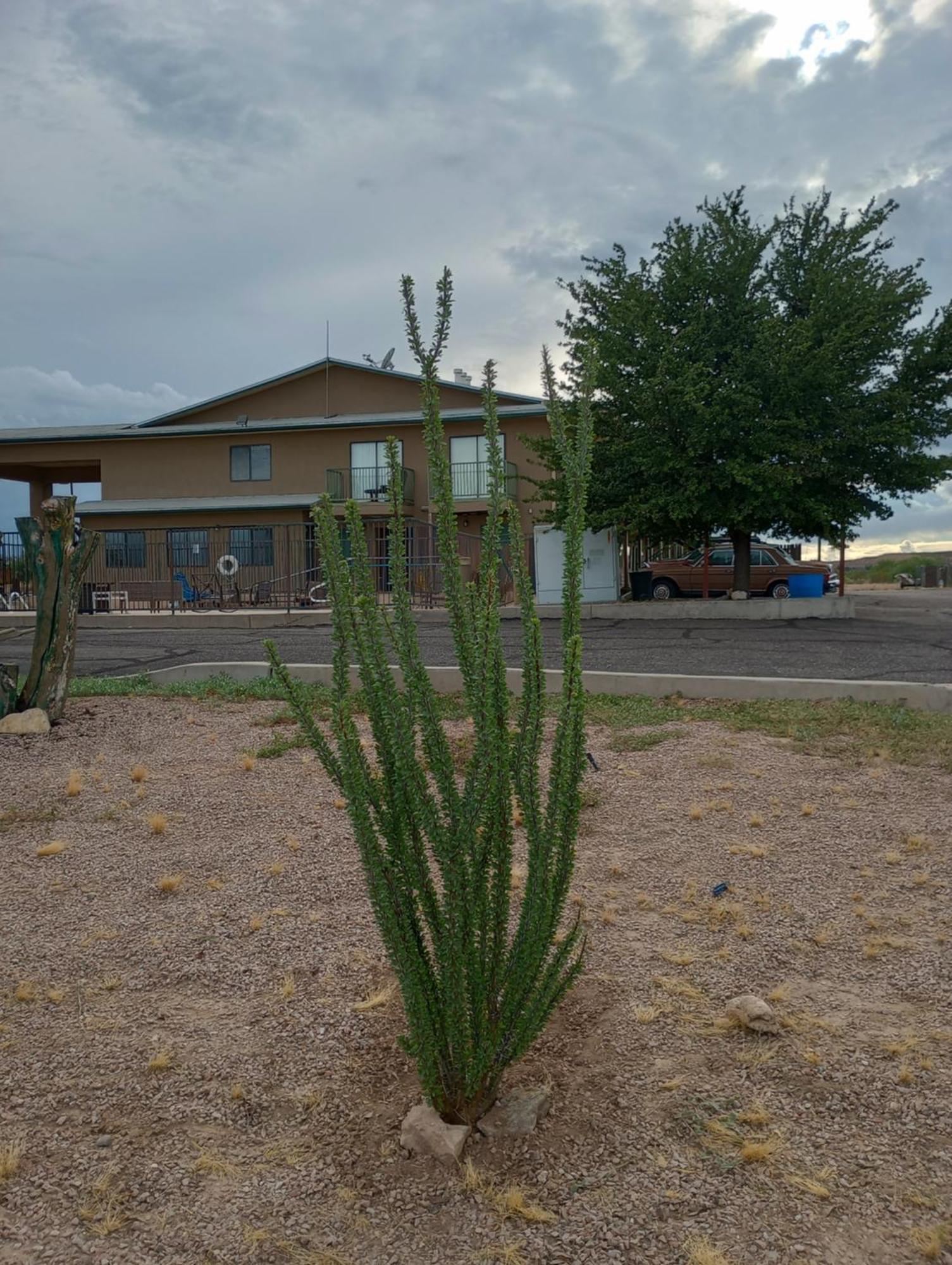 Copper Stay Inn Benson Az I-10 Exit 304 Exterior photo